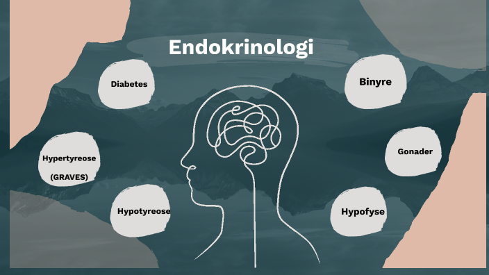 Endokrinologi by Linnea Leikvoll on Prezi