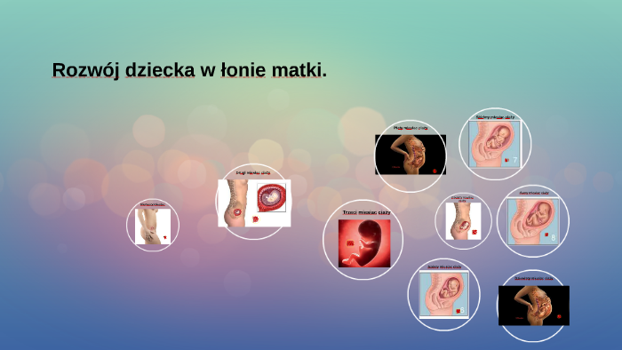 Rozwój dziecka w łonie matki. by Kacper Targoński on Prezi