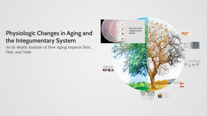 Physiologic Changes in Aging and the Integumentary System by Emma ...