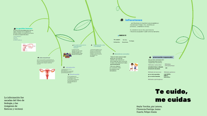 La gestión humana by Karina López on Prezi