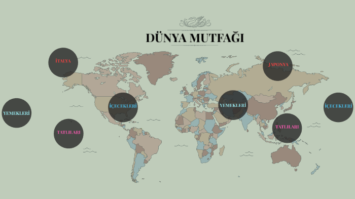 İrem'in Sunumu by İrem Sahinli on Prezi