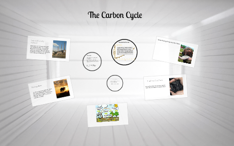 The Carbon Cycle by Karrie Midcap on Prezi