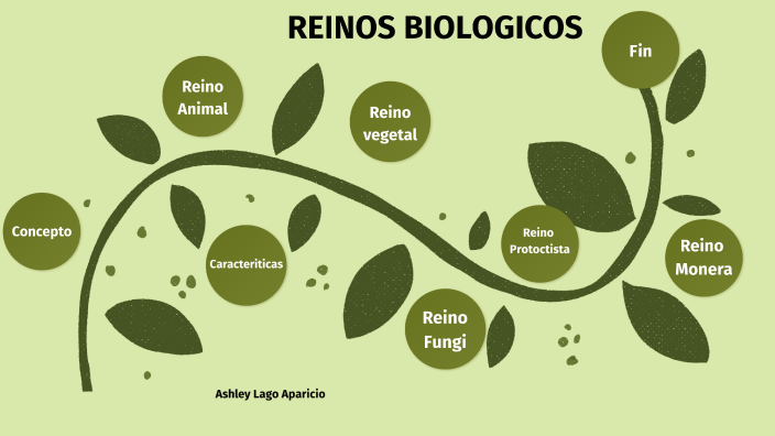 Reinos Biológicos by ashley lago on Prezi