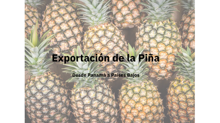 Exportacion de Piña by Qais Sbaih on Prezi