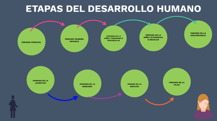 ETAPAS DEL DESARROLLO HUMANO by EDGARDO CANCINO SANCHEZ