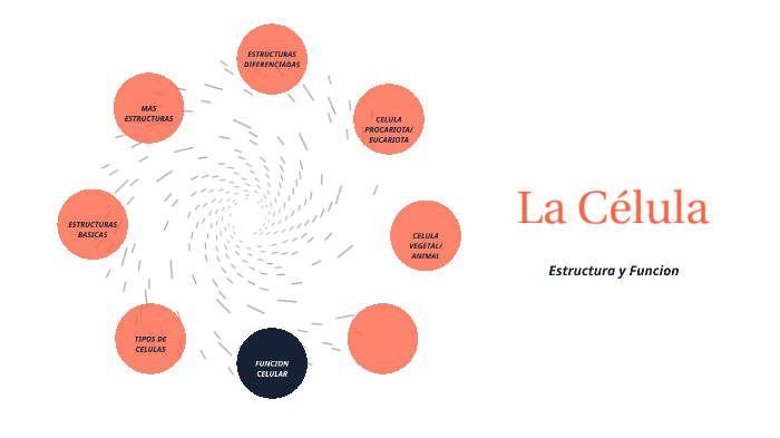 La Celula by daniela azzad on Prezi