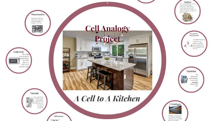 Cell Analogy Project By Caleb Herrera On Prezi