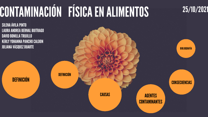 CONTAMINACION FISICA EN ALIMENTOS by juliana Vásquez Duarte on Prezi