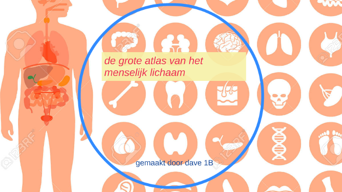 De Grote Atlas Van Het Menselijk Lichaam By Dave Jacobs On Prezi