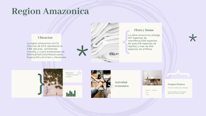 Region amazonica by Anahi Canchignia on Prezi