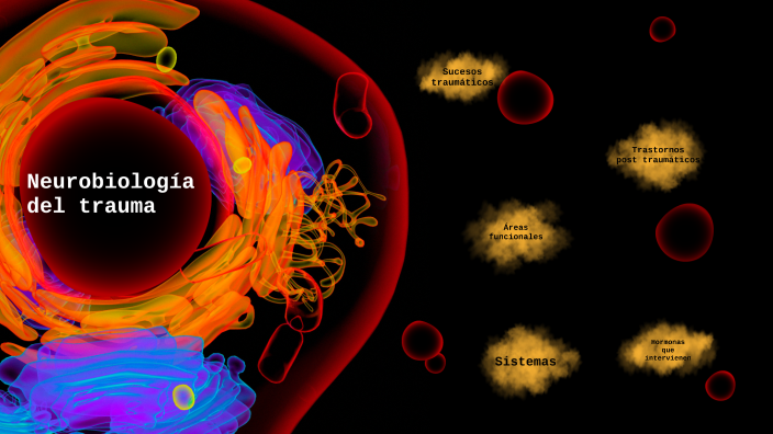 Neurobiología del trauma by Alejandra Sánchez Doreste on Prezi