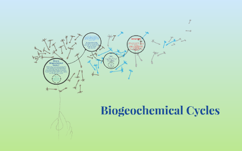 Biogeochemical Cycles by on Prezi
