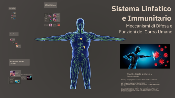 Sistema Linfatico E Immunitario By Alessio Scaccia On Prezi
