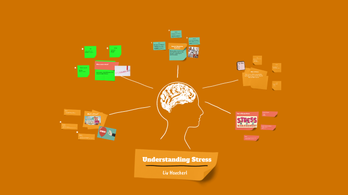 Understanding Stress by Olivia Hoecherl on Prezi