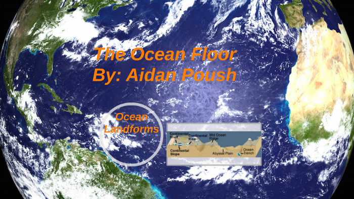 Everything About the Ocean Floor by Aidan Poush on Prezi