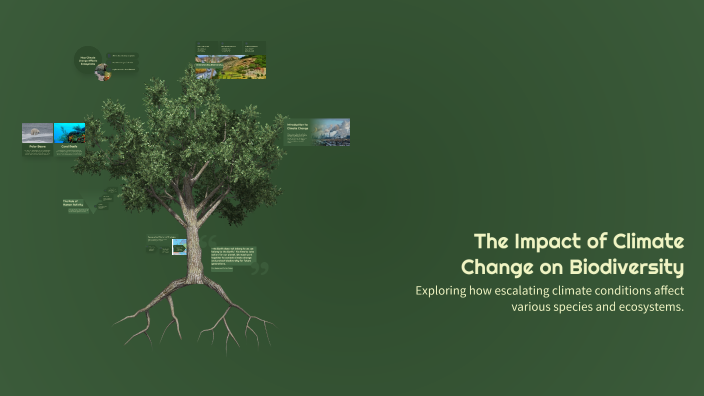 The Impact of Climate Change on Biodiversity by Sebastian Pelloni on Prezi