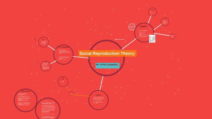 social-reproduction-theory-by-ashley-costantino