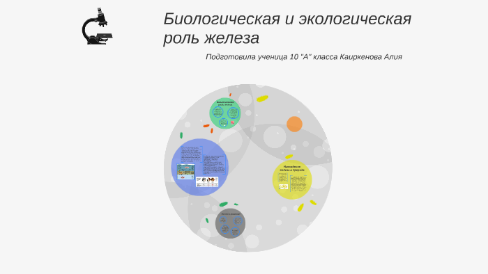 Биологическая роль железа презентация