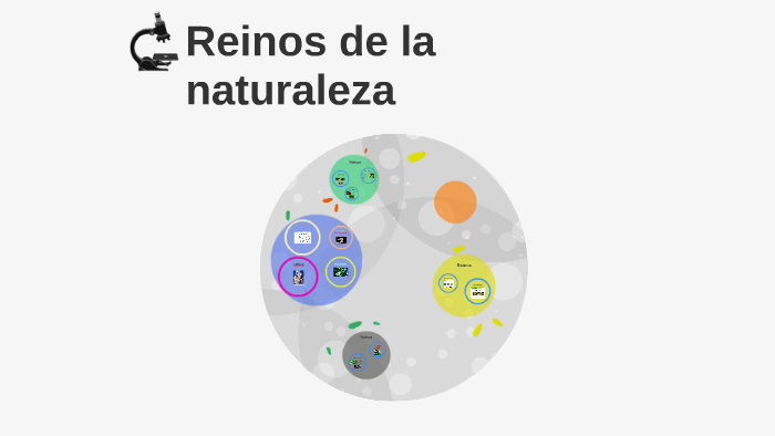 Reinos de la naturaleza by leslie jazmin aguilar funes on Prezi