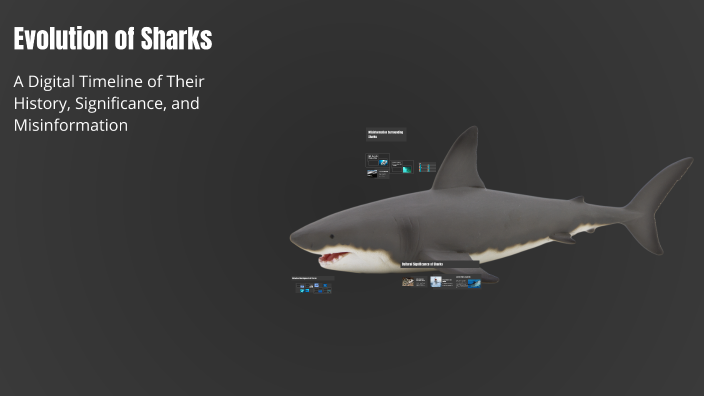 Evolution of Sharks by Alexa Sanchez on Prezi