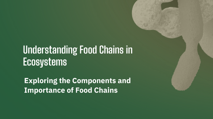 Understanding Food Chains in Ecosystems by Shifali Sen on Prezi Biology Diagrams