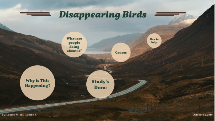 speech writing disappearing birds