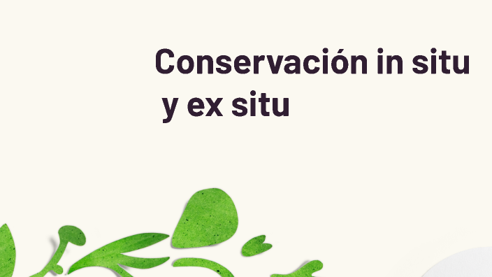 Conservación in situ y Conservación ex situ by Nan 02 on Prezi