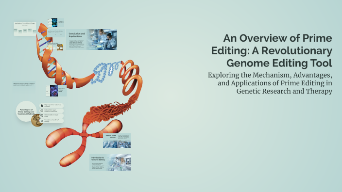 An Overview of Prime Editing: A Revolutionary Genome Editing Tool by ...