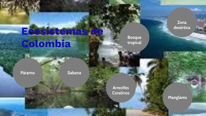 ecosistemas de colombia by maria carolina diaz jimenez on Prezi