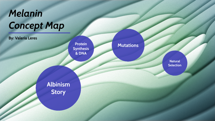 Melanin Concept Map By Valeria Jacobo On Prezi