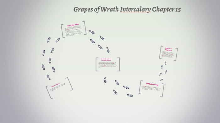 write a literary analysis essay about an intercalary chapter of the grapes of wrath