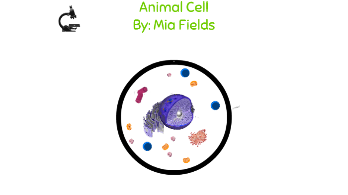 Animal Cell by on Prezi