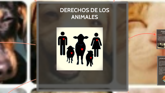 DERECHOS DE LOS ANIMALES by Daniel Lopez on Prezi