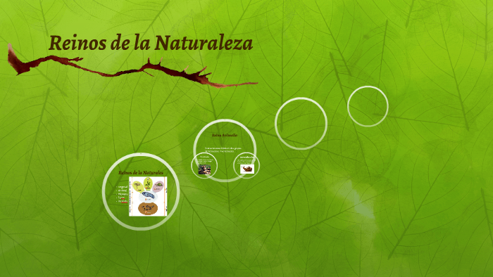 Reinos de la Naturaleza by yeni osorio on Prezi