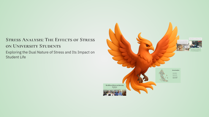 Stress Analysis: The Effects of Stress on University Students by Mandy ...