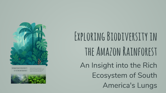 Exploring Biodiversity in the Amazon Rainforest by Rkan on Prezi