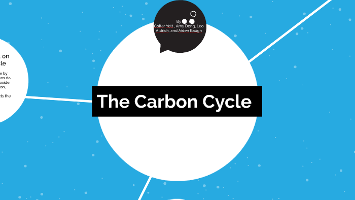 The Carbon Cycle by amy D on Prezi