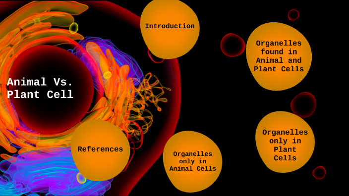 Animal Vs. Plant Cell by Olivia Menchion on Prezi