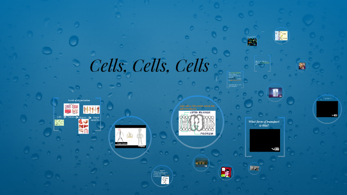 Cells, Cells, Cells by on Prezi