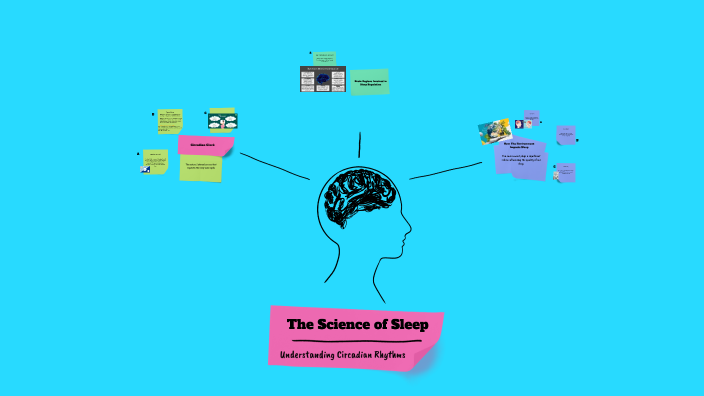 The Science of Sleep by jah will on Prezi