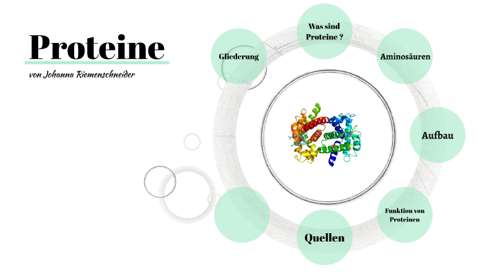Funktion Von Proteinen Im Körper Proteine - Aufbau und Funktion by Johanna Riemenschneider on Prezi