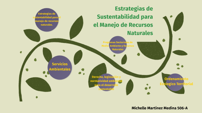 Estrategias de Sustentabilidad para el manejo de recursos naturales by