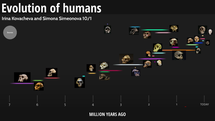 Evolution of humans by Irina Kovacheva on Prezi