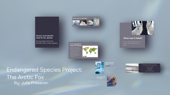 Endangered Species Project: The Arctic Fox by Julia Preseren on Prezi