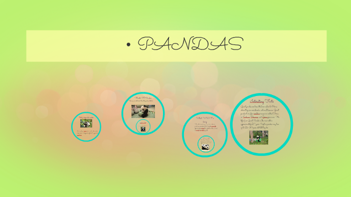 Why do pandas matter by J'keyra Joseph on Prezi