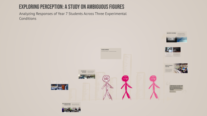 Exploring Perception: A Study on Ambiguous Figures by elisha dvorzak on ...