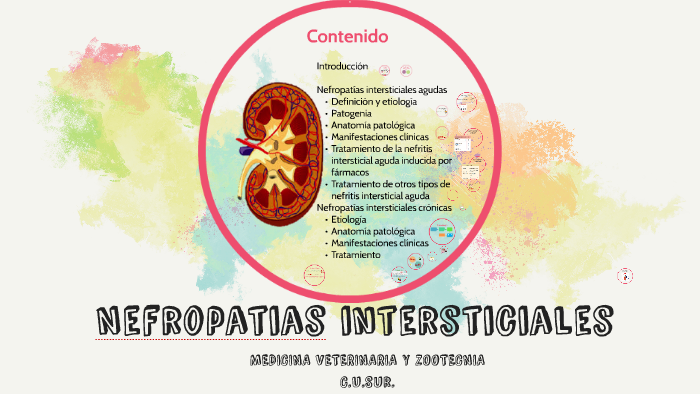 Nefropatias intersticiales by Tomm Lugo on Prezi
