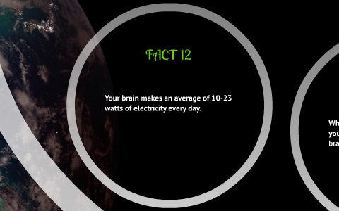 HOW DOES THE HUMAN BRAIN WORK REDDIT visual data 5