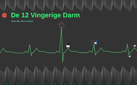 De 12 Vingerige Darm by Julian Hollander on Prezi