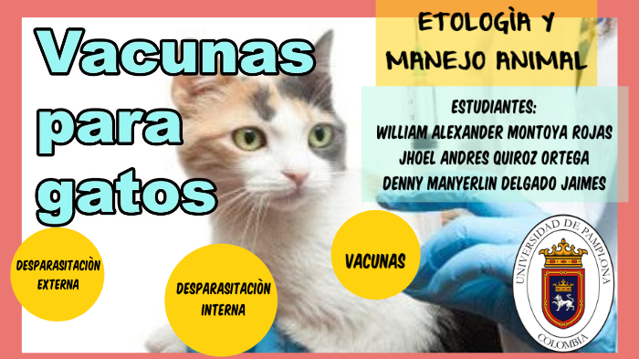 plan vacunas y desparasitacion felina by william alexander montoya ...